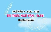 Soạn bài Tri thức Ngữ Văn trang 56 Ngữ Văn lớp 9 tập 1 Chân trời sáng tạo